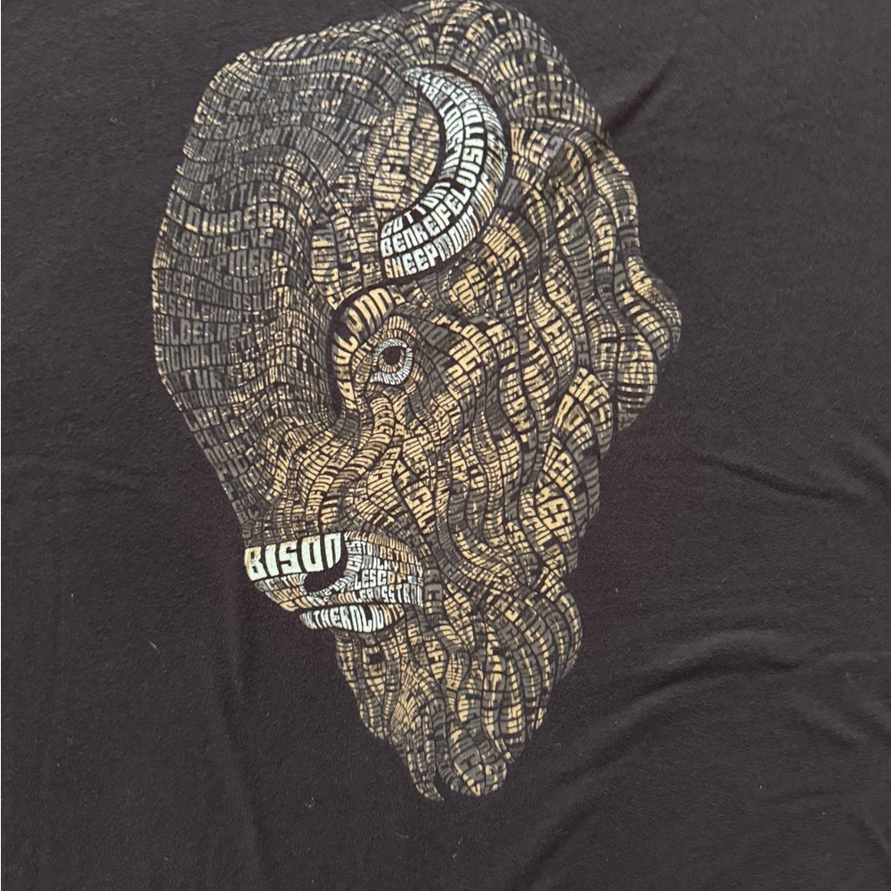 Badlands National Park Buffalo Graphic Men's Tee Size XXL - Mrmts in Pictures